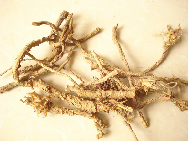 防风的功效与作用