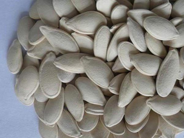 生南瓜子的功效与作用
