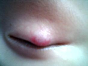 u=1731242946,700529245&fm=21&gp=0.jpg