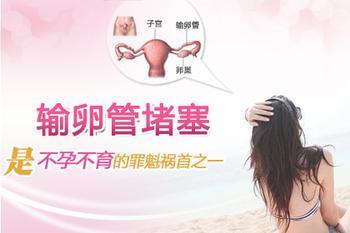 输卵管堵塞.jpg