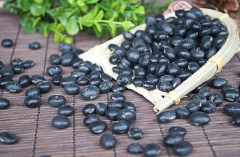 黑豆怎么吃促排卵