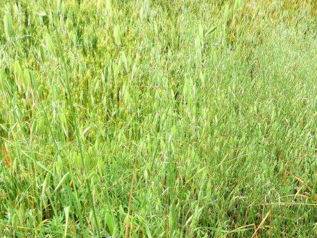 jpg 001OqtwOzy6SkUYf8Vs52&690.jpg