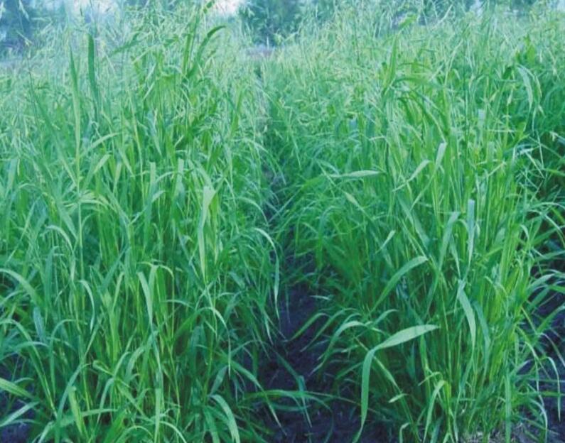 jpg QQ截图20170413134659.jpg