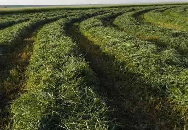 jpg QQ截图20170413141402.jpg