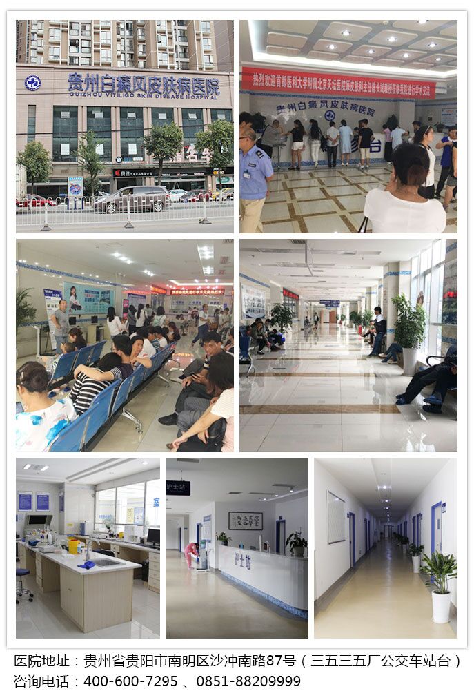 大楼集锦.jpg
