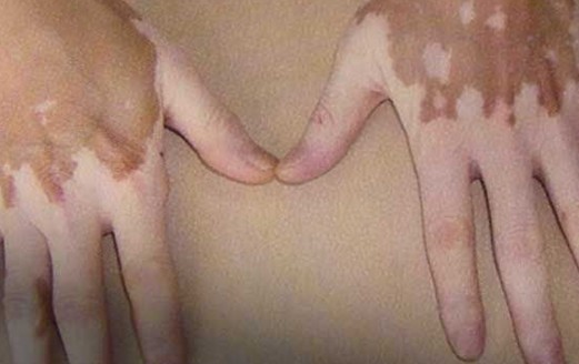 jpg 40-16061G41T05B.jpg