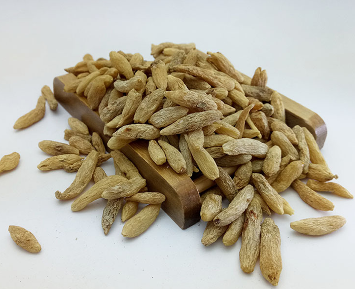 中药山麦冬又叫麦门冬,是其同名植物的根部,中医认为,它有生津止咳