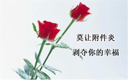 附件炎1.jpeg