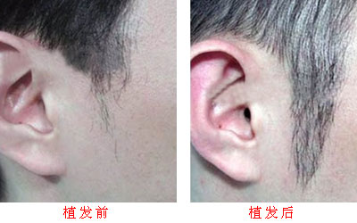 6-160R6095349649.jpg