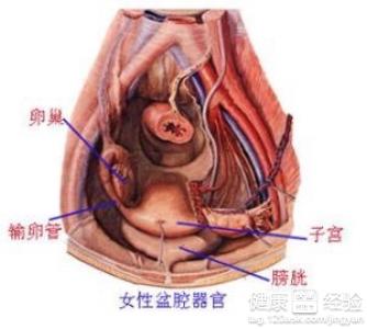得了盆腔炎注意事项