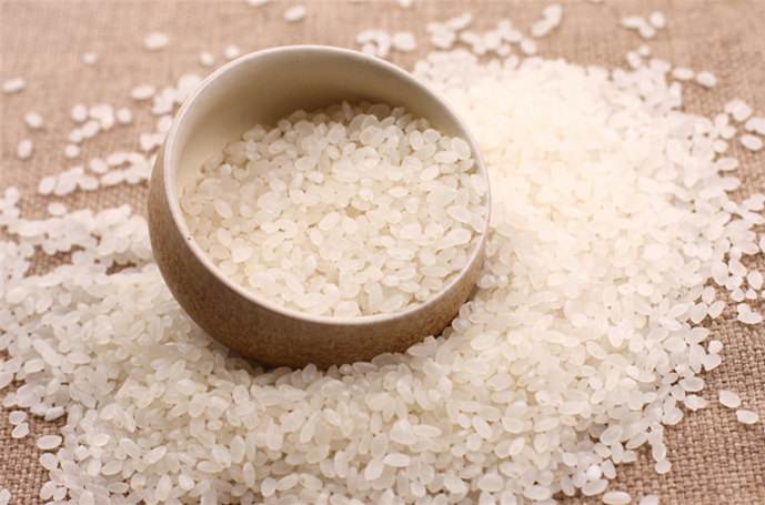 中医 食材 五谷杂粮 粳米   说起大米,应该是人人都吃过吧,许多人在