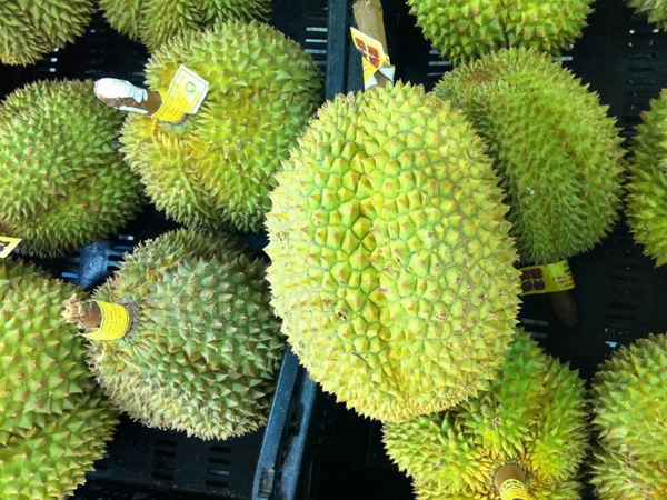 jpg 榴莲07.jpg