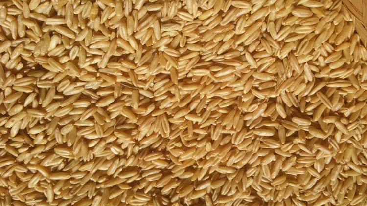燕麦米的功效与作用