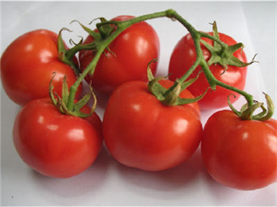 吃小番茄的功效与作用是什么呢