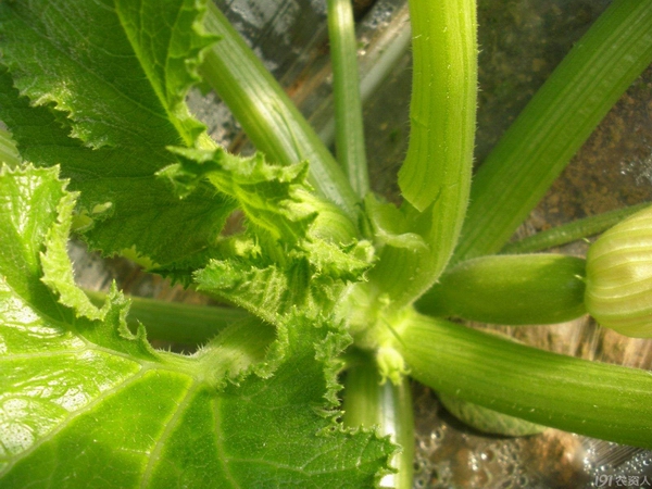 jpeg o4YBAFkSiwCAR1wZAAMSo7uD0Og75.jpeg