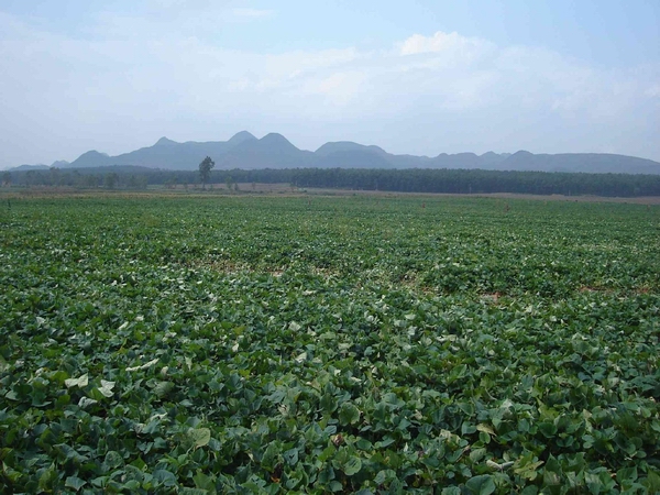 jpeg oYYBAFjTmR-ADMUCAAZkN75h9Tk84.jpeg