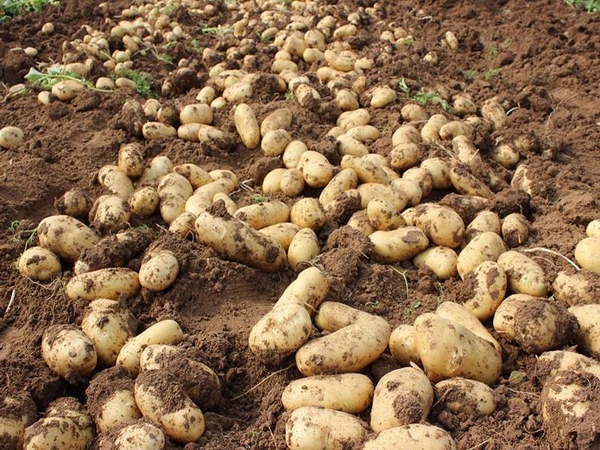 jpeg ooYBAFkMSxKAfiZeAAHGxxobgRA62 (1).jpeg