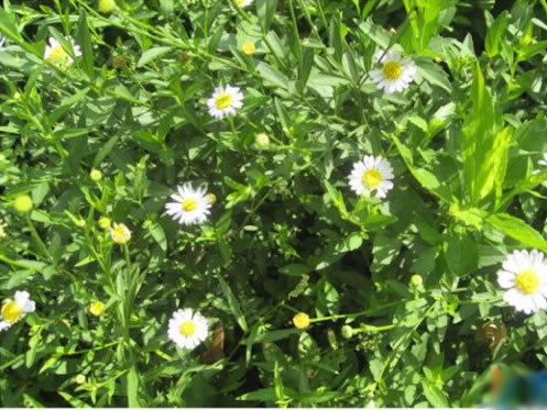 jpg 16032214173831.jpg