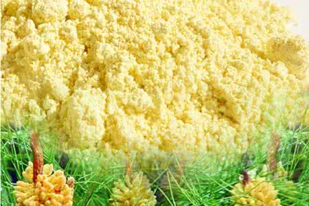 松花粉的功效与作用及食用方法