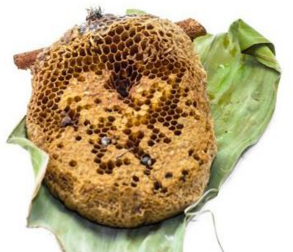 蜂房的作用和用法
