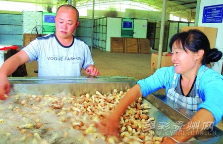 jpg 2015072123054429.jpg