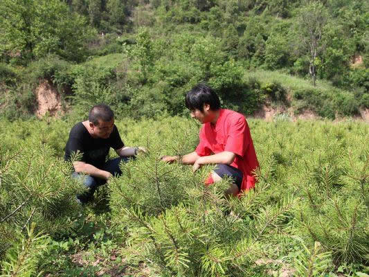 jpg u=1644391391,1785123030&fm=214&gp=0.jpg