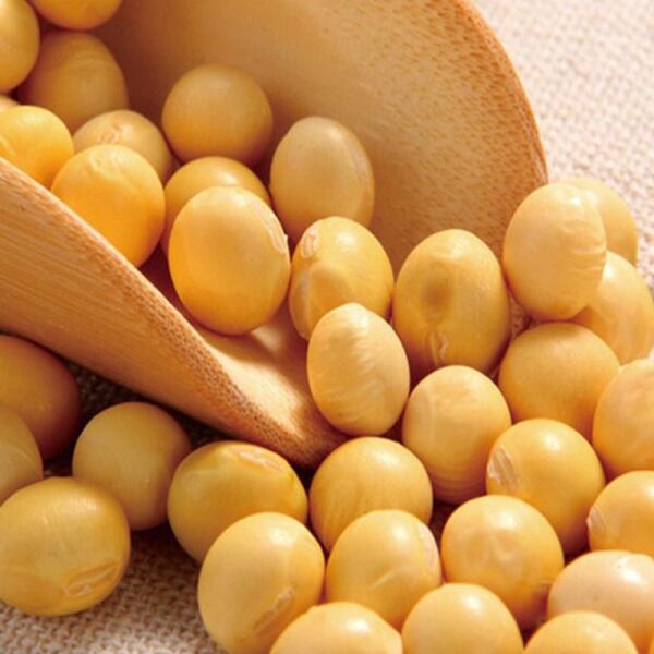 黄豆怎么吃最有营养