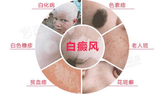 png wps6414_tmp.png