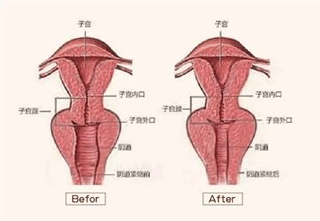 微信图.gif