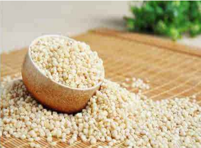高粱米的功效与作用及食用方法