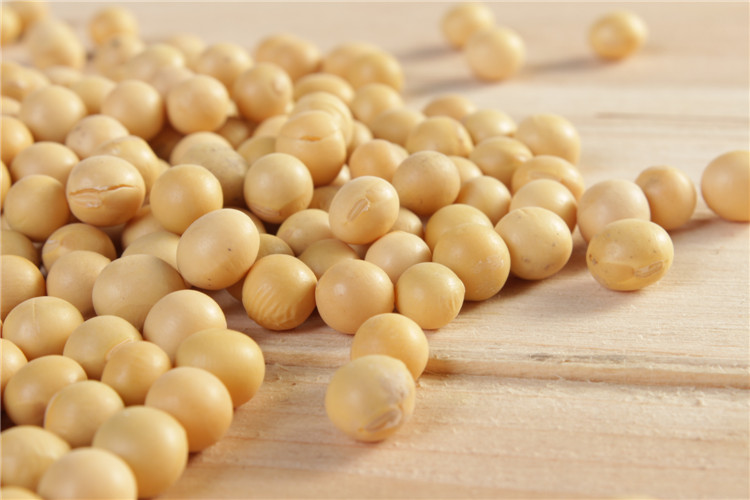 黄豆价格多少钱一斤