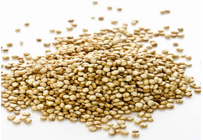 藜麦和小米哪个营养高