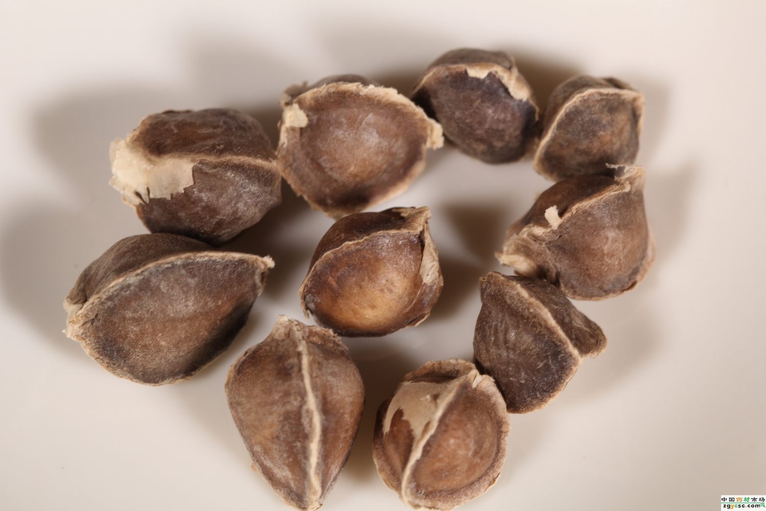 辣木籽的功效与作用及食用方法