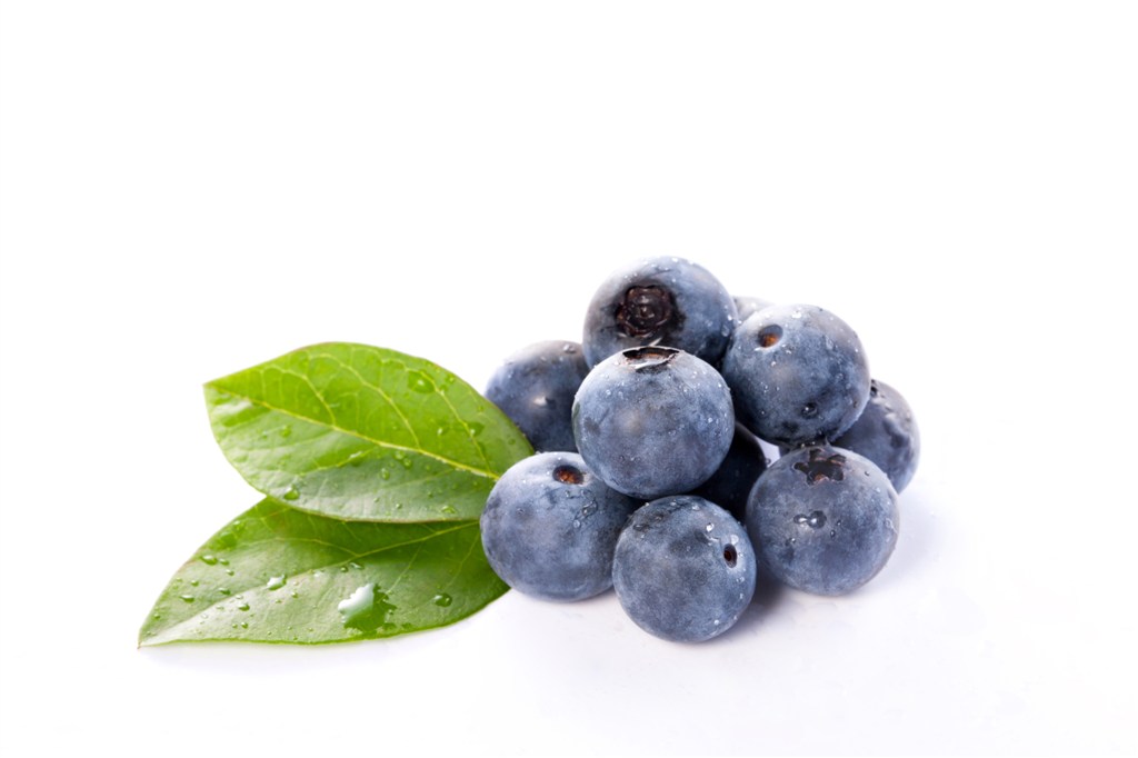 蓝莓多少钱一斤能买到呢