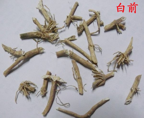 白前又叫石蓝和水竹消,药用部位为它的根和茎