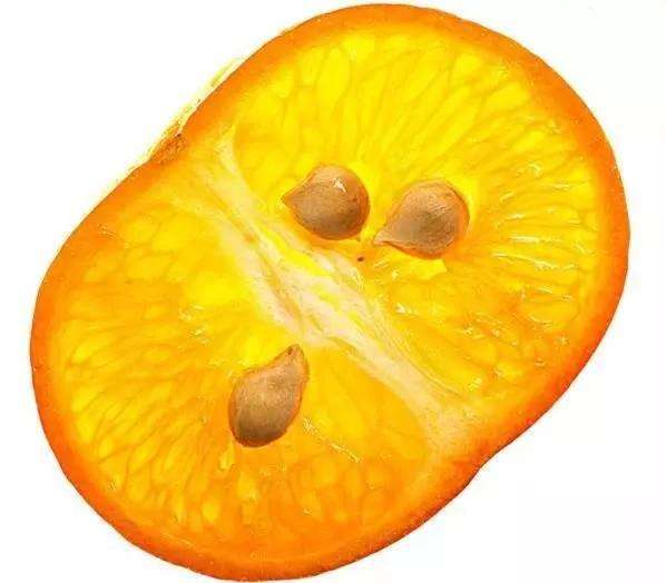橘核图片