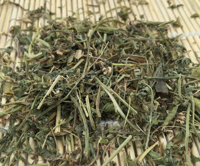 苦地丁圖片
