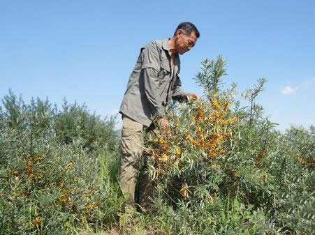 jpg 11317138_959151.jpg