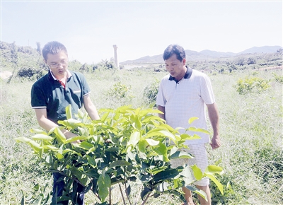 jpg 16428786_999984.jpg