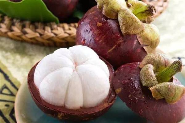 jpg 山竹种出致富路.jpg