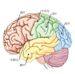 u=82114138,2394866046&fm=23&gp=0.jpg