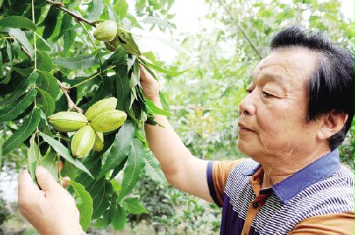 jpg s150923135314394.jpg