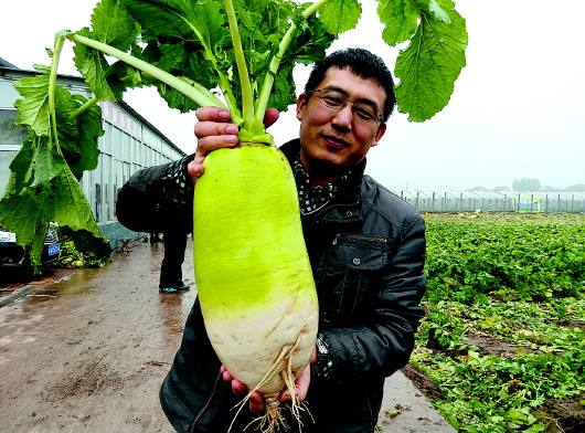 jpg 萝卜大王.jpg