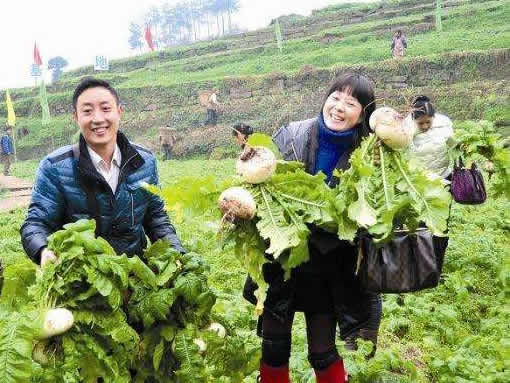 jpg 萝卜致富.jpg