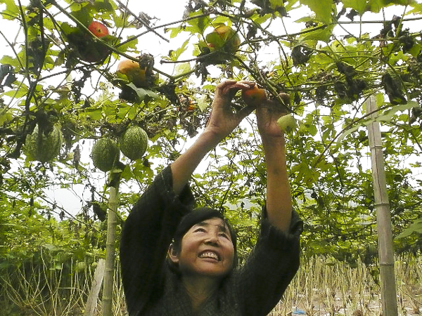 jpg bc305bc8f3651005b66f09.jpg