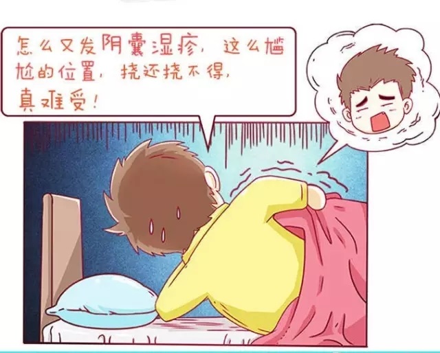 阴囊湿疹.webp.jpg
