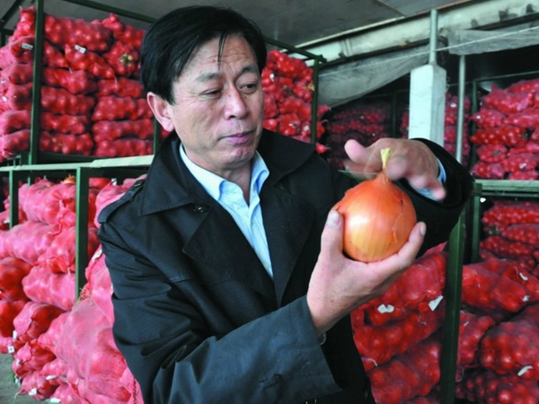 jpg 农王桂欣.jpg