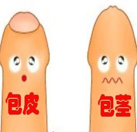 555.jpg