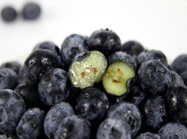 蓝莓孕妇能吃吗
