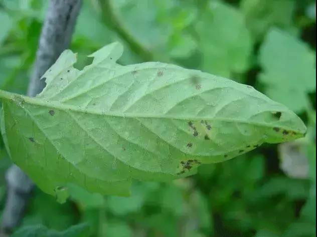 jpg 54-1_meitu_2.jpg